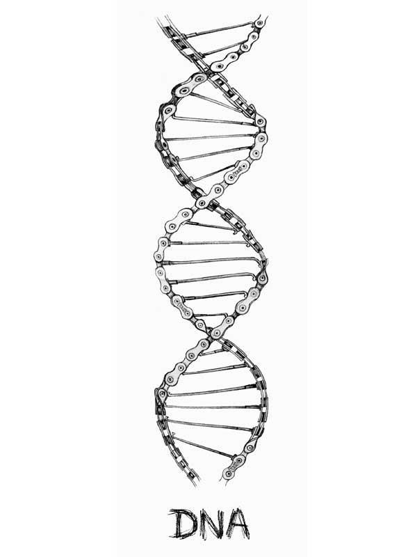DNA Men's T-shirt Navy - Image 2
